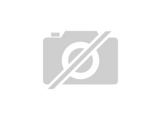 Weltweit Handeln auf einer Pl